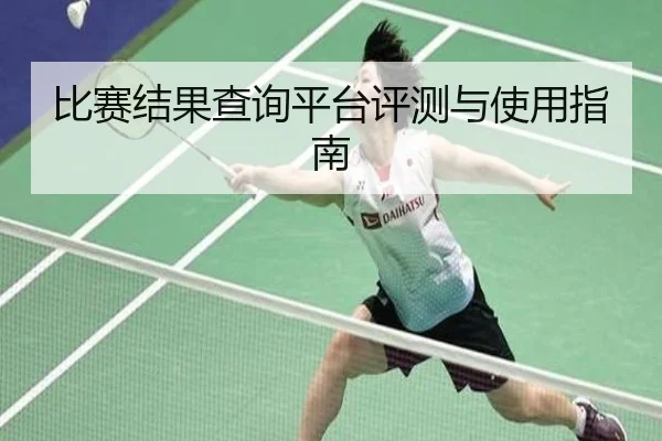 比赛结果查询平台评测与使用指南