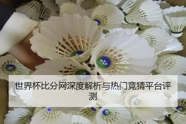 世界杯比分网深度解析与热门竞猜平台评测